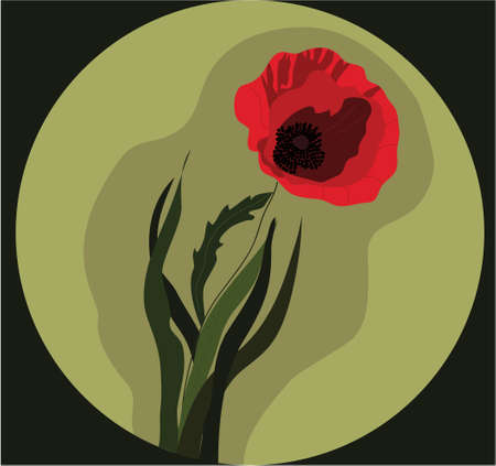 vector illustration of poppy flower, postcard with poppyのイラスト素材