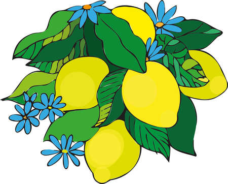 vector composition of lemons with flowersのイラスト素材