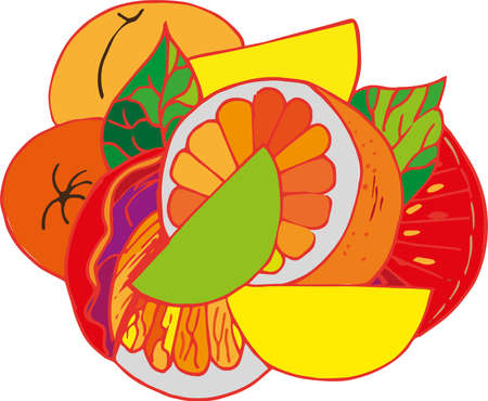 Vector freehand citrus composition. Cut grapefruits and orangesのイラスト素材