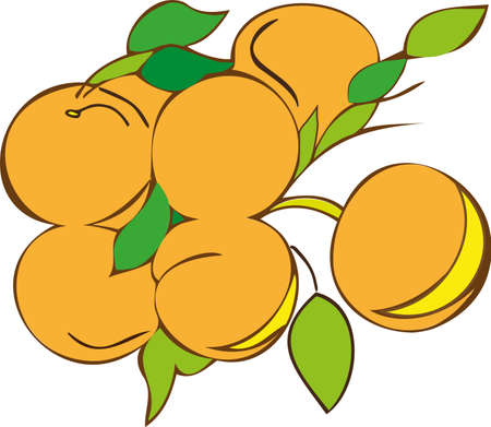 vector illustration of peaches on a branchのイラスト素材
