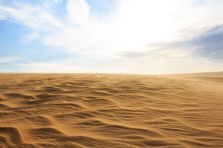 Desertの写真素材