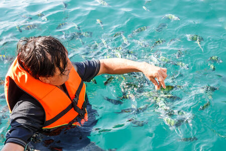 Thai man is feeding to group of Amphiprion in Andaman sea at Trang ,Thailandのeditorial素材