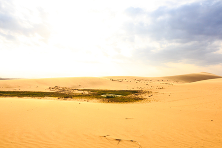 Oasis at central of Mui Ne sand dune ,South Vietnamの写真素材