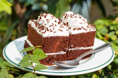 chocolate cakes with white cream on top and spoon on plate in gardenの写真素材