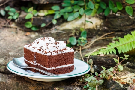 a chocolate cakes on rock in gardenの写真素材