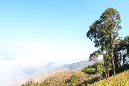 Mountain and sea of fog at Phu Chee Fah ,Chiangrai ,Thailandの写真素材