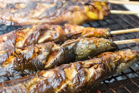catfishs were roasted on grill  native food in Thailand の写真素材