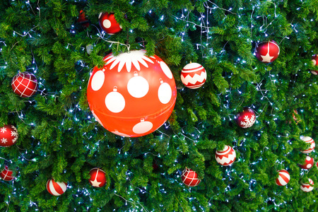 red ball and light bulb were decorated on pine tree on Christmas  day in Thailandの写真素材