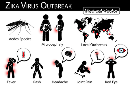Zika virus outbreaks infographics ( Mosquito ( Aedes species ) is carrier , microcephaly in fetus , local area outbreak , symptom of zika fever )のイラスト素材