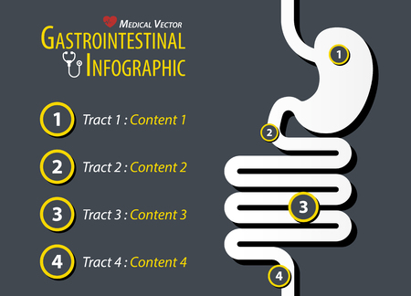 Gastrointestinal Infographic . Flat design .のイラスト素材