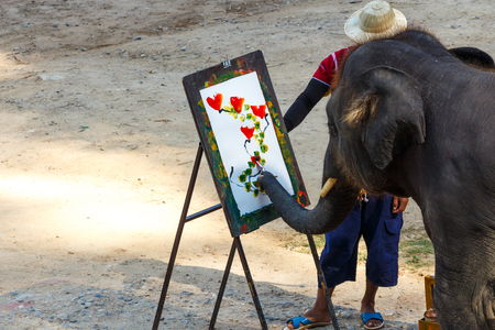 Elephant is painting by oil color at Mae Sa elephant camp , Chiangmai ,Thailand .の写真素材