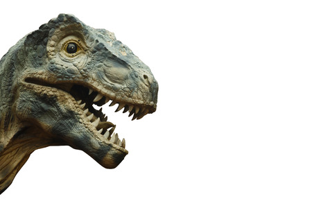 Tyrannosaurus rex and blank area at right side . Isolated .の写真素材