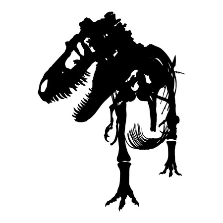 Tyrannosaurus Rex skeleton . Silhouette vector . front view .のイラスト素材