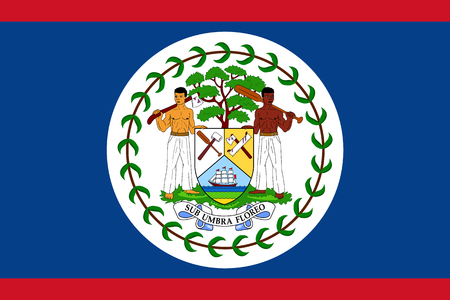 Official vector flag of Belize .のイラスト素材