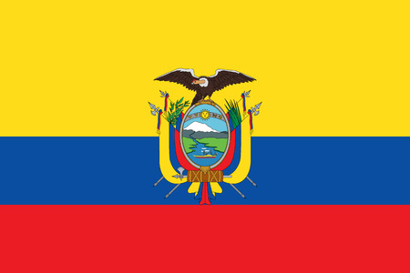 Official flag of Ecuador, vector illustration.のイラスト素材