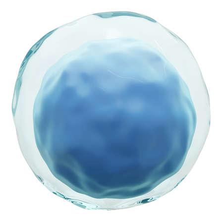 Lymphocyte . White blood cells with transparency membrane and large nucleus . Isolated white...