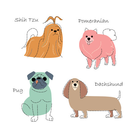 Dog breeds Set 2 . Flat shape and pencil line drawing design . Vector .のイラスト素材