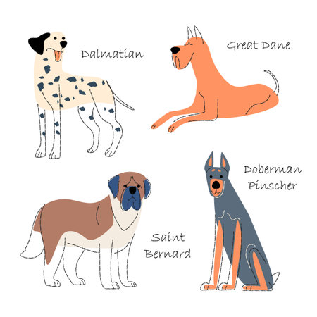 Dog breeds Set 1 . Flat shape and pencil line drawing design . Vector .のイラスト素材