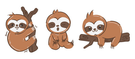 Set of sloth bear cartoon characters . Hand drawn style . White isolated background . Vector .のイラスト素材