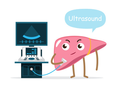 Liver and ultrasonography machine, Cute medical cartoon character, Liver check-up concept, Vector .のイラスト素材