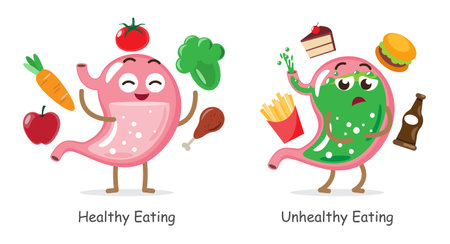 Healthy eating and Unhealthy eating . Stomach with healthy diet and junk food . Cute medical cartoon characters . White isolated background . Vector .のイラスト素材