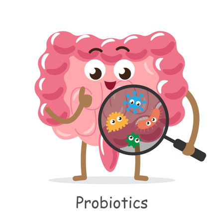 Probiotics . Intestine cartoon character hold magnifying glass to see microflora bacteria . Isolated white background . Vector .のイラスト素材