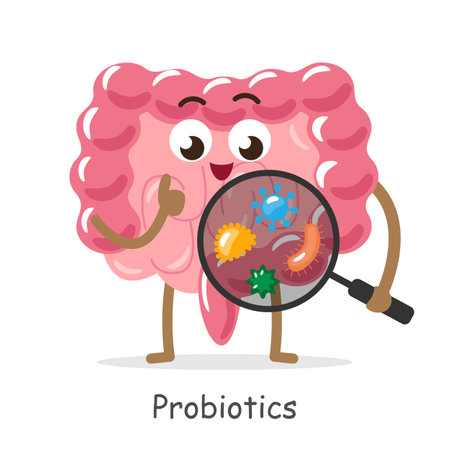 Probiotics . Intestine cartoon character hold magnifying glass to see microflora bacteria . Isolated white background . Vector .のイラスト素材