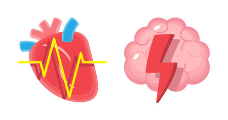 Heart with ECG and Brain with thunderbolt . CPR and first aid emergency rescue concept . Isolated on white background . Vector .のイラスト素材