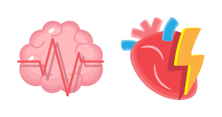 Heart with thunderbot and Brain with Electroencephalography or EEG . CPR and first aid emergency rescue concept . Isolated on white background . Vector .のイラスト素材