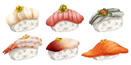 Premium realistic hand-drawn watercolor illustration set of traditional Japanese Nigiri sushi. Featuring scallop, fatty tuna, sardine, sweet shrimp, surf clam and salmon on rice. Isolated background.の写真素材