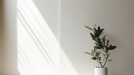 Green plant in a white vase on a white wall with shadowsの素材