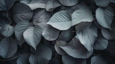 Green leaves background. Nature concept. Vintage tone filter effect color style.の素材