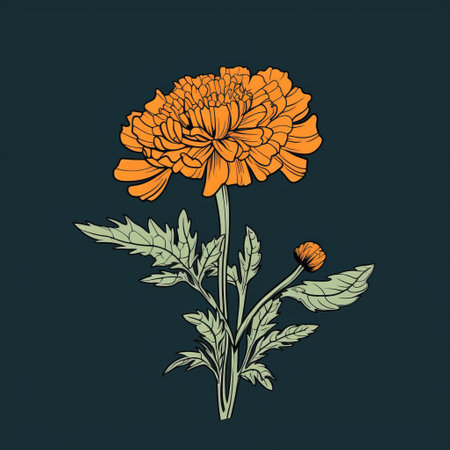 this vector graphic features a linear and minimalistic design of a marigold flower. perfect for use in branding, packaging, or as a decorative element in your designs. ai generatedの素材