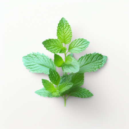 a refreshing and cheerful shade of mint green set against a clean white background. perfect for a summer-themed design or a calming and soothing aesthetic. ai generatedの素材
