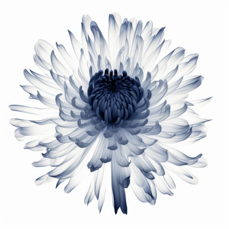 a realistic hyper-detailed rendering of a blue and white flower showcases its symbolic identity. the dark white and navy hues create a sense of transparency and opacity, while the minimalist style emphasizes the accurate and detailed depiction. this image beautifully captures the essence of nature. ai generatedの素材