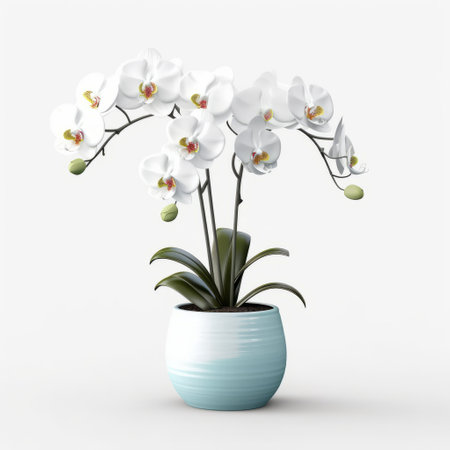 an orchid 3d model featuring a realistic rendering with a light blue and white color scheme. the model showcases rounded and striped arrangements, with soft and rounded forms. the contoured shading adds depth and dimension, giving the orchid a porcelain-like appearance. ai generatedの素材