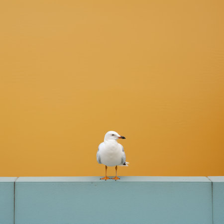 seagull perched on yellow stucco, minimalist background, orange and aquamarine, american urban life, minimalistic portraits, white and orange, konica big mini, exaggerated poses. ai generatedの素材