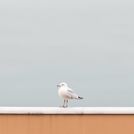 a white seagull perched on a metal wall, captured with the artistic style of carl zeiss distagon t 15mm f2.8 ze lens. this minimalist cityscape photograph draws inspiration from the works of childe hassam, featuring muted seascapes. shot in stunning 4k resolution using the tamron 24mm f2.8 di iii osd m12 lens. ai generatedの素材