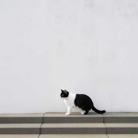 white cat standing on minimalist black and white stairs, embodying japanese minimalism and concrete aesthetics. this photo captures a consumer culture critique through minimalist abstracts, showcasing varying perspectives reminiscent of the eastern zhou dynasty. ai generatedの素材