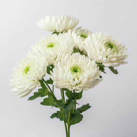 white blossoms are delicately arranged on a white table, set against a pristine white background. this captivating photo, inspired by the flowerpunk style, showcases selective focus and a dark green color palette. the elegant and emotive faces of the blossoms exude a subtle chromatism, creating an ivory-hued dazecore aesthetic. ai generatedの素材