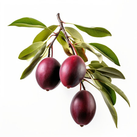 3 black cherries with green leaves on a branch, showcasing the exotic beauty of nature. the cherries, in a stunning combination of light maroon and dark magenta, stand out against the vibrant green leaves. captured with a cinquecento style, the image highlights the rounded shapes and traditional craftsmanship. shot at iso 200, this photo exudes a sense of timeless elegance. ai generatedの素材