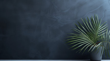 a potted palm tree with lush green leaves sits gracefully beside a sleek black wall, creating a striking contrast. the dark gray and dark blue minimalist background enhances the exotic atmosphere, while organic stone carvings add a touch of artistic elegance. the soft and dreamy atmosphere is further enhanced by the minimalist stage designs and painterly surfaces. ai generatedの素材