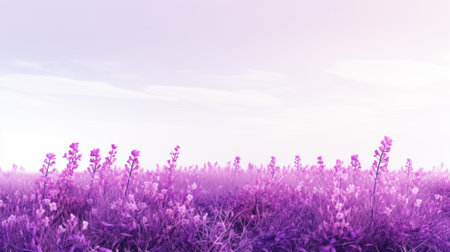 a photo of a purple field with delicate flowers, set against a blue sky and purple grass. the image has a background in the style of infrared filters, creating a soft atmospheric perspective. the colors are light amber and pink, giving a romanticized feel to the country life depicted. this uhd image is in 8k resolution. ai generatedの素材