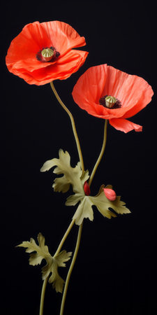 two red poppy flowers, resembling baroque-inspired sculptures, stand out against a black background. the hyperrealistic wildlife portraits capture the delicate markings of the petals with photorealistic detail. this sculptural installation artist has created a maquette that showcases the vibrant colors of the poppies, with light orange and green hues adding to their allure. ai generatedの素材