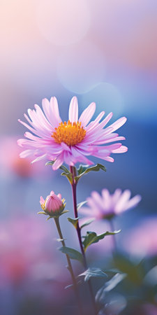 pink flowers basking in the sun with a blurred background, showcasing the artistic style of vray tracing. this uhd image by marguerite blasingame and john wilhelm captures the beauty of nature with a soft-focus technique. the light violet and light amber hues create a realistic and captivating display of light and color. ai generatedの素材