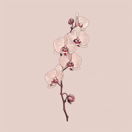 a white and pink orchid is depicted in a line drawing style on a beige background. the colors used include light red, dark amber, dark beige, and light azure. the artwork showcases high detail and asymmetrical balance, drawing inspiration from classic tattoo motifs. the realistic usage of light and color adds depth to the composition. ai generatedの素材