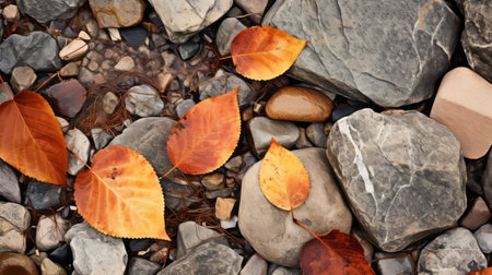 a desert: explore the captivating textures and patterns formed by fallen leaves, moss, and branches. employ macro photography techniques to capture intricate details, experiment with angles and compositions, and enhance earthy tones for visually stunning images. ai generatedの素材