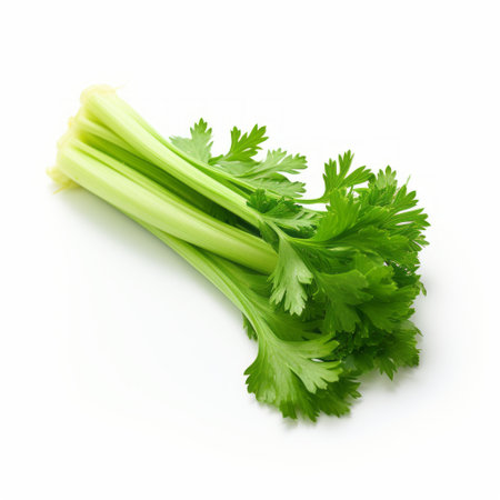 a fresh and healthy celery, captured in a png file, features a minimalist white background. the artistic style of hale woodruff and miki asai is evident in the fine lines and delicate curves of this image. with a light emerald and silver color palette, this aerial view photo is available under the creative commons attribution license. ai generatedの素材
