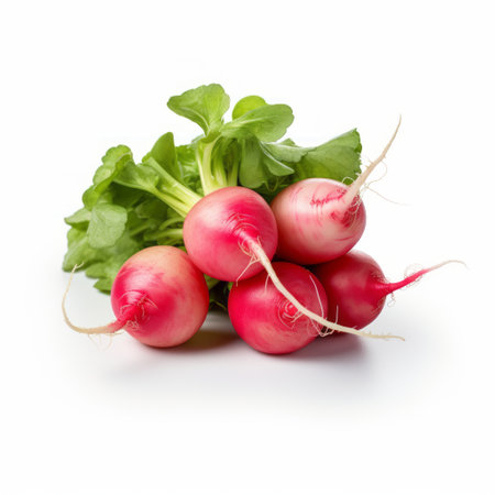 a photo of vibrant and lively radishes with their leaves, showcasing their pink and tender appearance. the image is captured in the style of group f64, featuring a clean white background and bold lines. the colors are vibrant and the overall composition is reminiscent of the works by thechamba and carcore. ai generatedの素材
