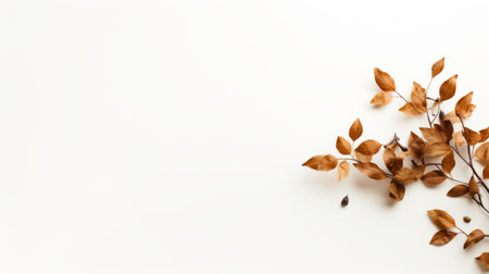 golden leaves and seeds are beautifully captured in this high-quality stock photo. set against a clean white background, the image exudes a subtle minimalism. the combination of white and brown hues, along with hints of light orange, creates a contemplative atmosphere. this realistic rendering showcases the beauty of minimal sculpture. ai generatedの素材